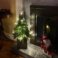 Northlight Potted Downswept Pine Unlit 2 Foot Pine Christmas Tree