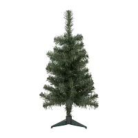 Northlight Blackwater Medium Unlit 3 Foot Fir Christmas Tree