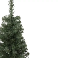 Northlight Blackwater Medium Unlit 3 Foot Fir Christmas Tree