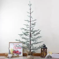 Northlight Frosted Slim 5 Foot Pine Christmas Tree