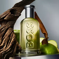 Hugo Boss Bottled Eau De Toilette