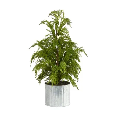 Nearly Natural 20" Cedar Pine Natural Look In Decorative Planter Pine Christmas Tree