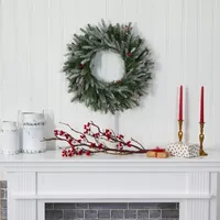 Nearly Natural 24in. Snowed With 50 Warm White Led Lights And Pine Cones Indoor Pre-Lit Christmas Wreath