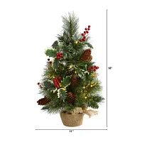 Nearly Natural 18" Mixed Pine With Burlap Base And Holly Berries And Pinecones And 35 Clear Led Lights Pre-Lit Christmas Tree