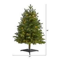 Nearly Natural 3 Foot Washington Fir With 50 Clear Lights Pre-Lit Christmas Tree