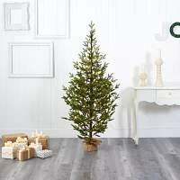 Nearly Natural 6 Foot Fir In Burlap Base With 1243 Bendable Branches And 250 Clear Led Lights Pre-Lit Christmas Tree