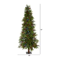 Nearly Natural 6 Foot Fir With Berries And 415 Bendable Branches And 250 Multi-Color (Multifunction) Led Lights Pre-Lit Christmas Tree