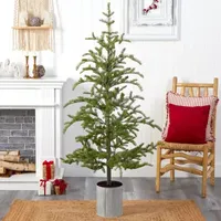 Nearly Natural Christmas In Decorative Planter With 150 Lights 5 1/2 Foot Pre-Lit Pine Christmas Tree