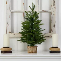 Nearly Natural 2 Foot Pine In Decorative Basket With 35 Clear Led Lights Pre-Lit Christmas Tree