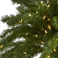 Nearly Natural 7 Foot Palm With 300 White Warm Led Lights Pre-Lit Tropical Christmas Tree