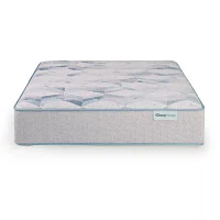 BeautySleep Dream Weaver 13.75" Plush Tight Top - Mattress Only