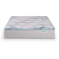 BeautySleep Dream Weaver 12.5" Plush Tight Top - Mattress Only