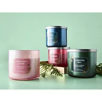 Distant Lands 14 Oz 3 Wick Winterberry Solid Scented Jar Candle