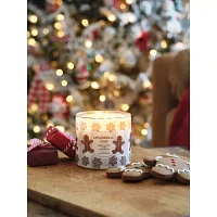 Distant Lands 14 Oz 3 Wick Gingerbread Snap Scented Jar Candle