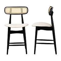 Tarana 2-pc. Counter Height Bar Stool