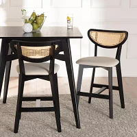 Dannell 2-pc. Counter Height Bar Stool