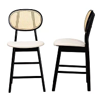 Darrion 2-pc. Counter Height Bar Stool