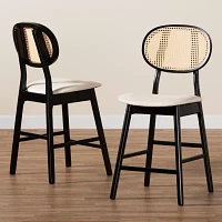Darrion 2-pc. Counter Height Bar Stool