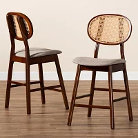 Darrion 2-pc. Counter Height Bar Stool