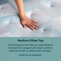 BeautySleep Dream Weaver 14.25" Medium Pillow Top - Mattress Only