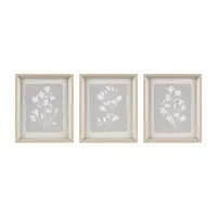 Madison Park Fair Florets 3-pc. Framed Wall Art Sets