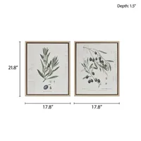 Madison Park Kalamata Branches Printed Graphic 2 Pc Set Canvas Art