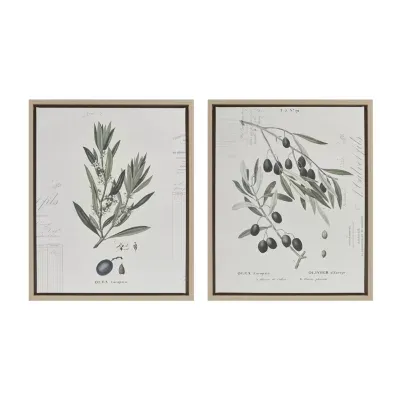 Madison Park Kalamata Branches Printed Graphic 2 Pc Set Canvas Art