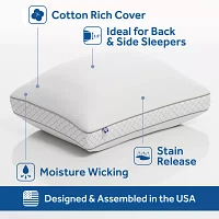 Sealy EternaLoft Firm Support Pillow