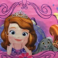 Disney® Sofia The First Bean Bag Chair