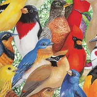 Hart Puzzles Birds, Birds, Birds By Wendy Russell, 24 X 30 1000 Piece Puzzle