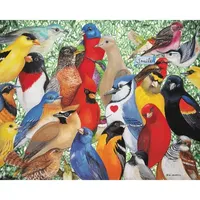 Hart Puzzles Birds, Birds, Birds By Wendy Russell, 24 X 30 1000 Piece Puzzle