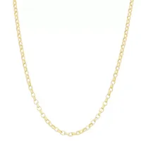 Unisex Adult 22 Inch 14K Gold Over Silver Link Necklace