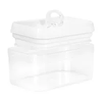 Home Expressions Acrylic 0.6 Qt Food Container