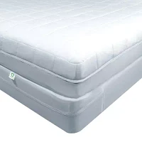 CleanRest Platinum Zip Bed Bug Blocker Dust Mite Barrier Breathable Mattress Encasement