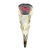 Adventure Bass Bottle Opener