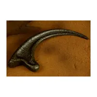 Doctor Collector Collectable Jurassic Park Raptor Claw 1:1 Scale Replica Memorabilia