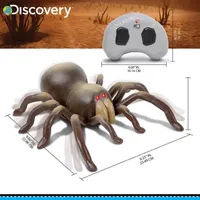 Discovery Kids RC Moving Tarantula Spider, Wireless Remote Control Toy for Kids