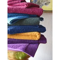 Distant Lands Perfect Color Solid Bath Towel Set