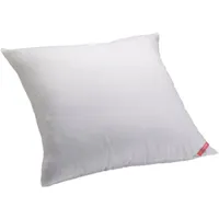 Allerease Solid Euro Pillow Insert