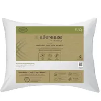 Allerease Natural Organic Jumbo Pillow