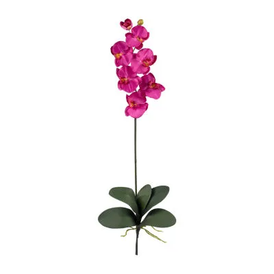 Nearly Natural Phalaenopsis Stem Floral Arrangement