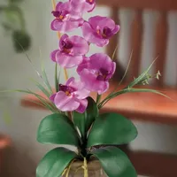 Phalaenopsis Silk Flower