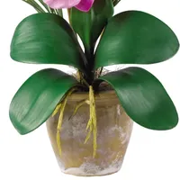 Phalaenopsis Silk Flower