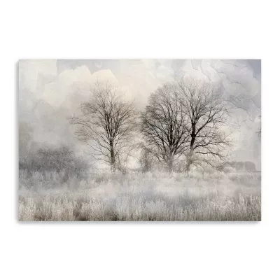 Lumaprints Winter Frost 3 Canvas Art