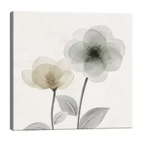 Lumaprints Open Bloom 2 Canvas Art