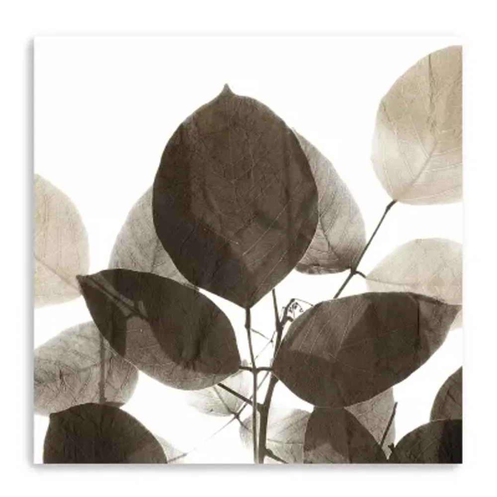 Lumaprints Chocolate Leaves 1 Canvas Art