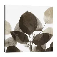 Lumaprints Chocolate Leaves 1 Canvas Art