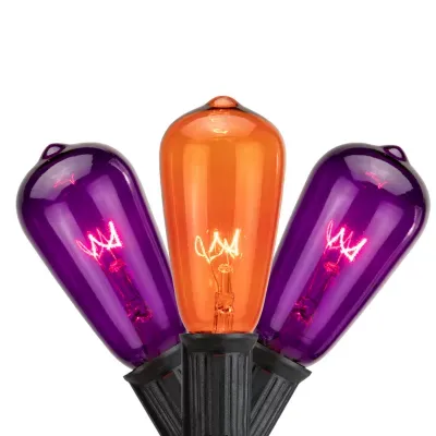 10ct Purple and Orange Edison E17 Halloween Light Set  9ft Black Wire