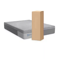 Sealy® Lacey Foam Firm - Mattress a Box