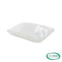 BioPEDIC Ultra-Fresh Luxury Gusseted Antimicrobial treated 2-Pack Pillows with Nanotex Coolest Comfort Technology